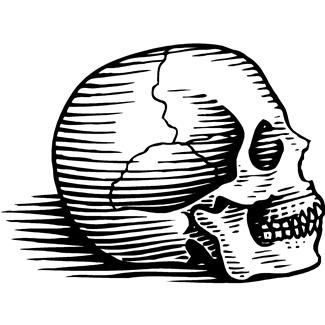 skull